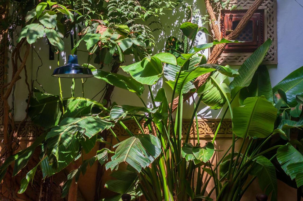 Riad Dombaraka Marrakesch Exterior foto
